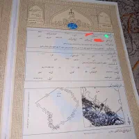 زمین