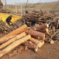 خریدار چوب