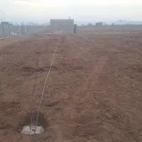 باغ رویایی گردو و بادام با سند تک برگ