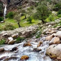 اقامتگاه بومگردی بلوط تاف
