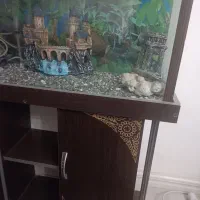 آکواریوم کمد دار سالم