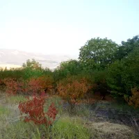 زمین-کشاورزی