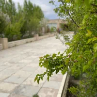باغچه-850-متری-تاپ-لوکیشن-سند-تک-برگ-خوشقیمت
