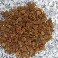 سبزه کشمش تیزابی نقدی