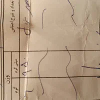 فروش انگشتر شیک و مجلسی|جواهرات|یاسوج, |دیوار