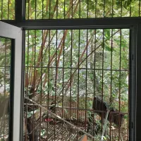 پیاده روی و طبیعت گردی