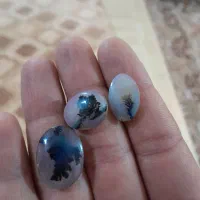 سنگ شجر قائن