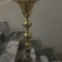 قیلون عربی سالم