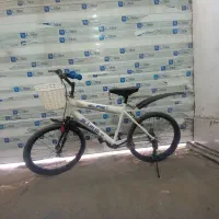 ۲۰ دوچرخ ه|دوچرخه، اسکیت، اسکوتر|تربت جام, شهرک معلم|دیوار