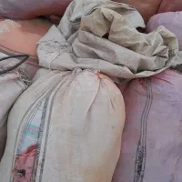 پشمه دام رایگان|عمدهفروشی|اشتهارد, |دیوار