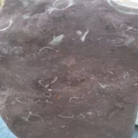 سنگ فوصیل یا چی