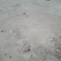 زمین پشت مسکن مهر  شهرک ولایت