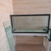 آکواریوم ماهی|ماهی|کرمان, |دیوار