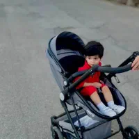 کالسکه دلیجان در حد نو