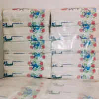 دستمال کاغذی ۲۰۰گرمی|مواد شوینده و دستمال کاغذی|شاهرود, |دیوار