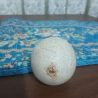 سنگ باقدمت قدیمی گرد گرد