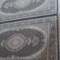 فرش ۳متری|فرش|خوی, |دیوار