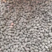 لوبیا سیاه|عمدهفروشی|سنندج, |دیوار