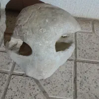 سنگ عتیقه به شکل جمجمه