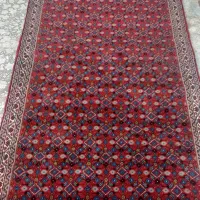 کناره ریزه ماهی نو تازه از دار اوفتاده