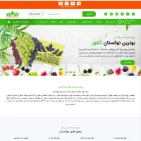 طراحی سایت با اپلیکیشن موبایل (اینترنت ملی)