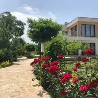 ۱۰۰۰ متر زمین امام رضا شاندیز/۶۰۰ متر پروانه