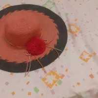 کلاه ساحلی بزرگ