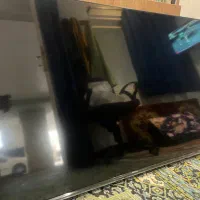 هایسنس ۵۰