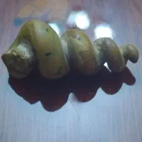 سنگ استثنایی|کلکسیون اشیاء عتیقه|تهران, قیطریه|دیوار