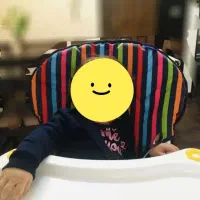 صندلی غذای کودک دلیجان