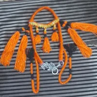 اسب