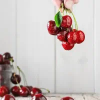 اغاز پیشفروش نهال گیلاس رژینا|خدمات باغبانی و درختکاری|دورود, |دیوار