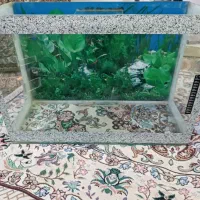 آکواریوم ۶۰ در۴۰