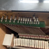 پیانو آکوستیک آلمانی|پیانو، کیبورد، آکاردئون|مشهد, سجاد شهر|دیوار