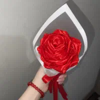 گل رز|گل و گیاه طبیعی|رشت, پل تالشان|دیوار