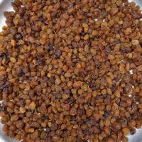 کشمش درگز|خوردنی و آشامیدنی|مشهد, توس فردوسی|دیوار