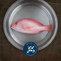 ماهی و میگو جنوب، صید روز کاکاماهی