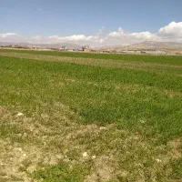 سلام-دوهکتار-زمین-کشاورزی
