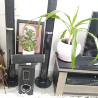 مبل L ال 9 نفره|مبلمان خانگی و میز عسلی|صدرا-فارس, فاز ۲|دیوار