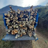 چوب