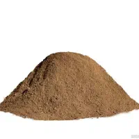 واگذاری گل زرد کوهی رایگان