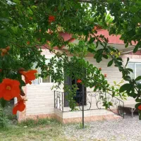 ویلا دوخوابه دربست حیاط بزرگ امکانات کامل.فقط امشب