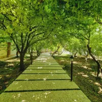 900مترباغ4دیوار-شهریار-سندتک-برگ-کردزار-کاسبی