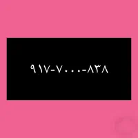 ۹۱۷-۷۰۰۰-۸۳۸