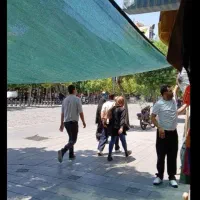 نصاب شید گلخانه شیلد توری سایبان