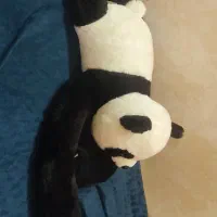 عروسک|اسباب‌بازی بچه|کرمان, |دیوار