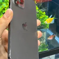 12pro max|موبایل|شیراز, زند|دیوار