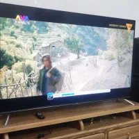 تلویزیون