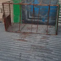 ظرف پذیرایی قفس بزرگ نشکن توری مقاوم دربدار