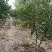 فروش باغ...چهار هزار متری داخل بافت عبدل آباد